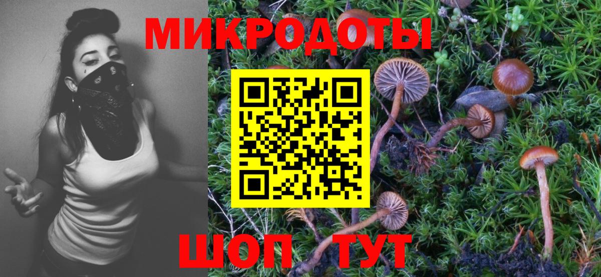 Чапаевск  Псилоцибиновые грибы Psilocybe  Вход с VPN  Псилоцибиновые грибы Magic Shrooms 